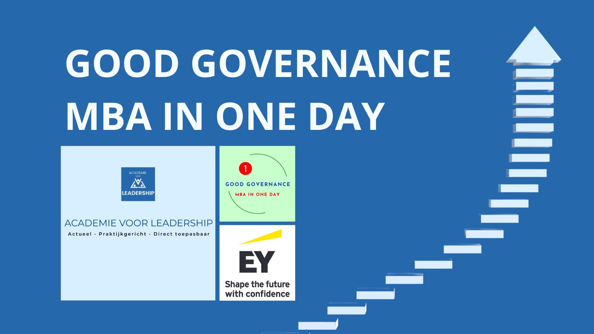 Good Governance MBA in One Day